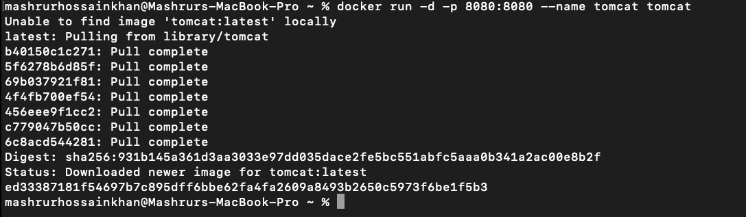Terminal showing docker run pulling and starting the Tomcat image