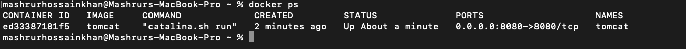 Terminal output showing the Tomcat container running on port 8080